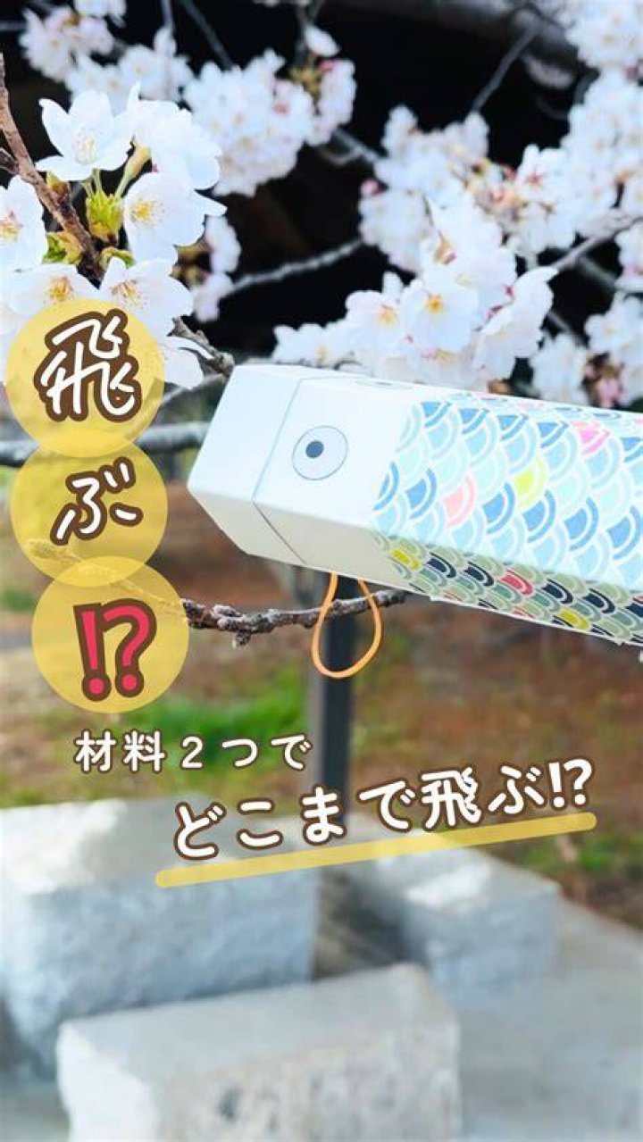 おうち遊び2歳、毎日が回り出す「安全×発達」アイデア大全