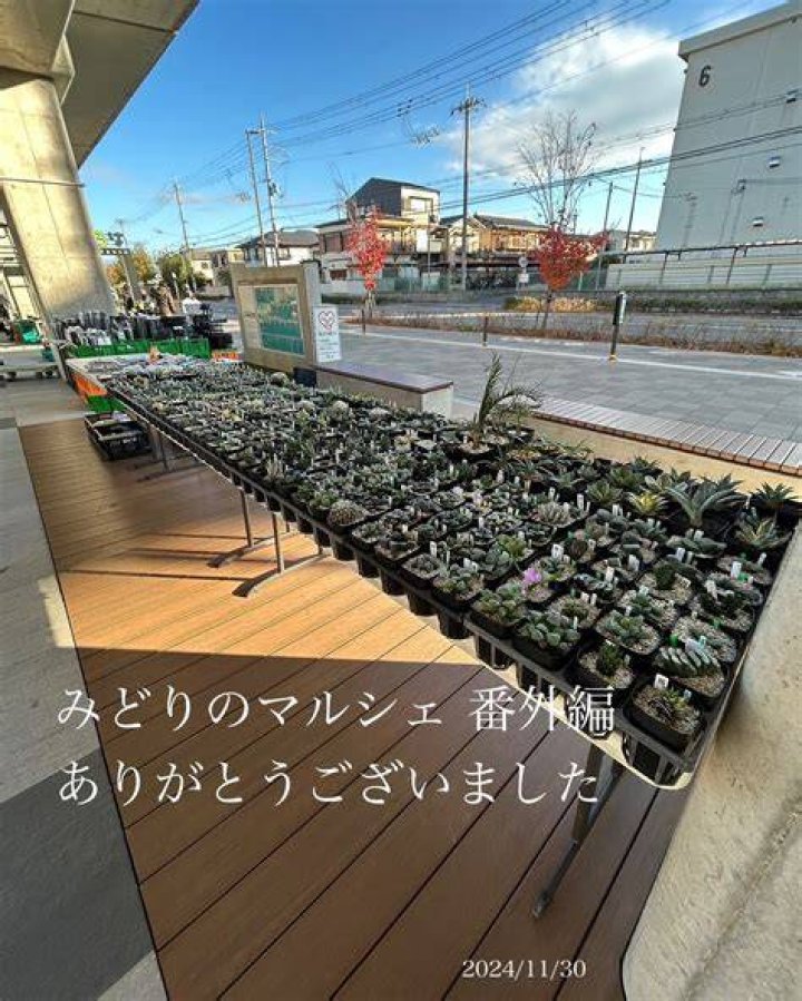 京都 みどり の マルシェ
