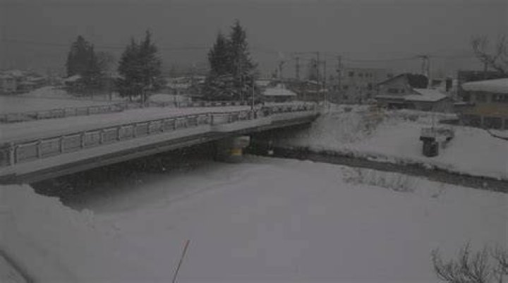 山形 県 漁協 ライブ カメラ