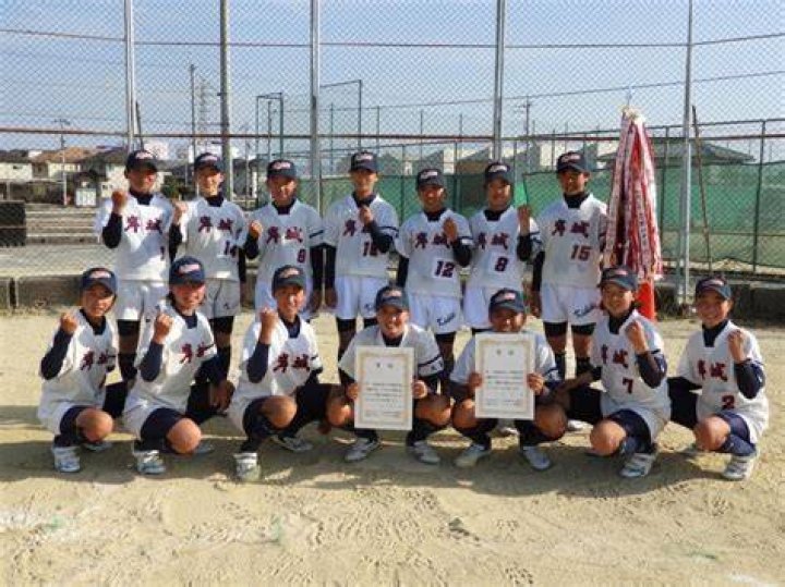 岸城 中学校 ソフト ボール